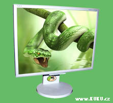 Repasované video LCD monitory NEC 2170NX - detailní popis vlastností.